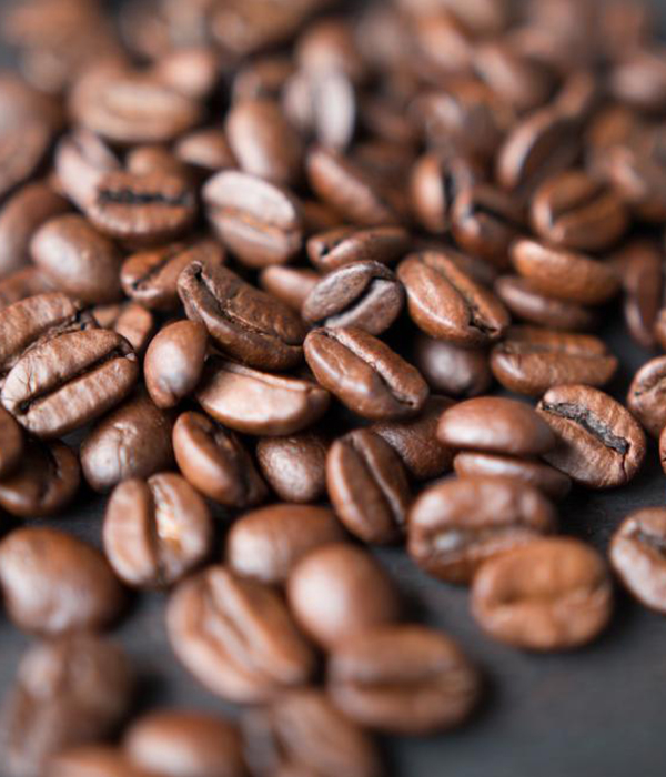 Organic Panama Geisha